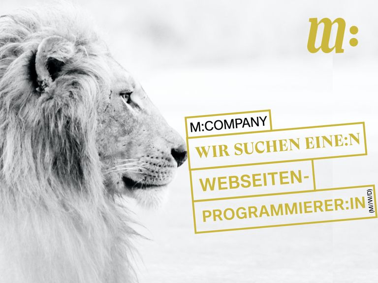 M:Company sucht Webprogrammierer:in (m/w/d)