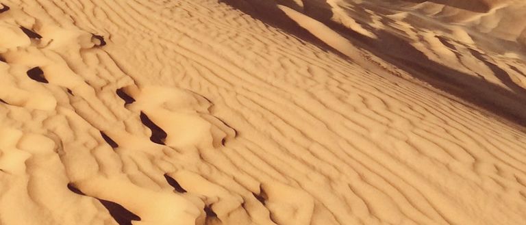 M:Trips Praxisexpansionen Dubai Wüste